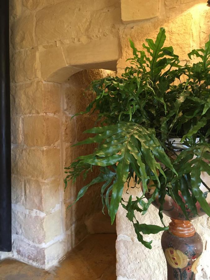 Botanica B&B 沙拉 外观 照片