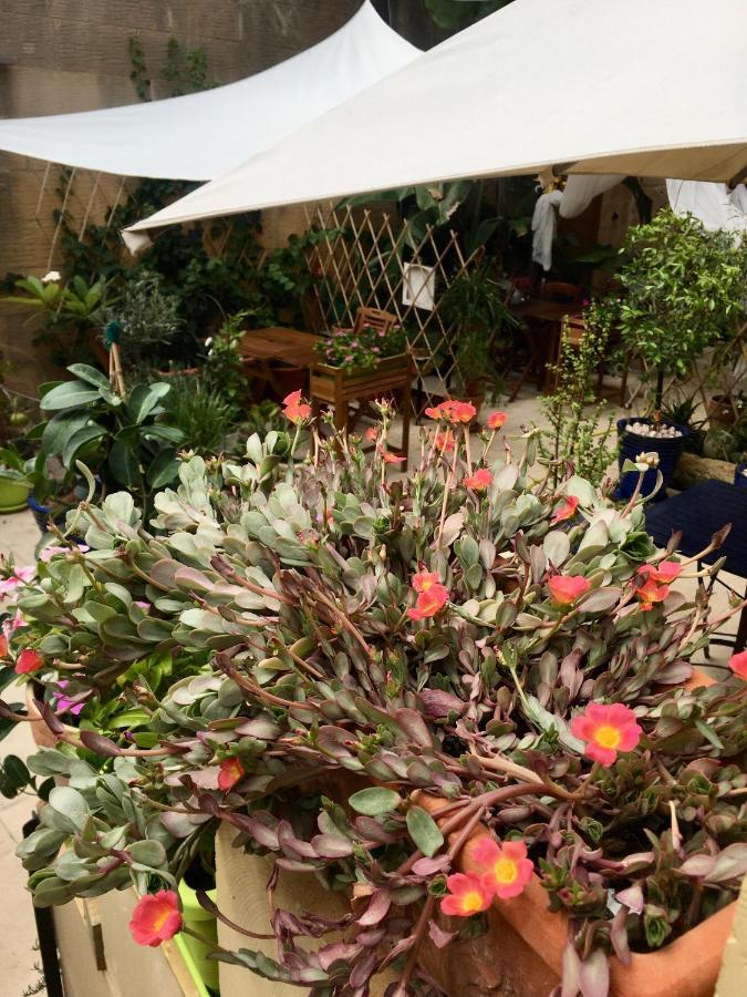 Botanica B&B 沙拉 外观 照片