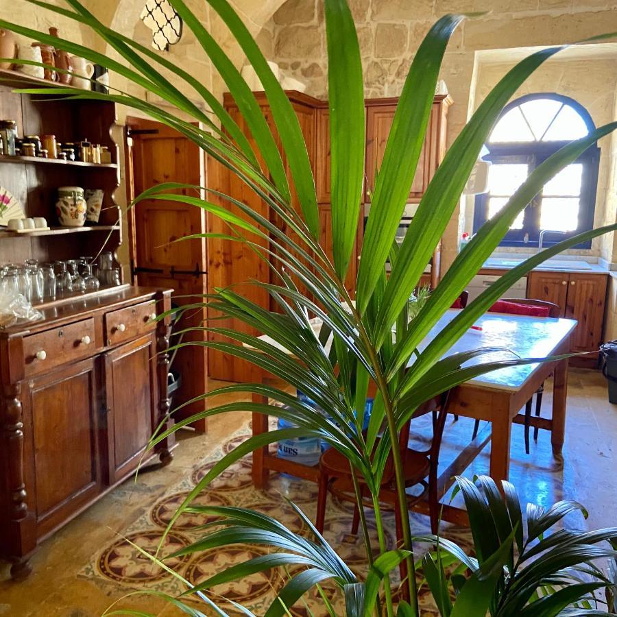 Botanica B&B 沙拉 外观 照片