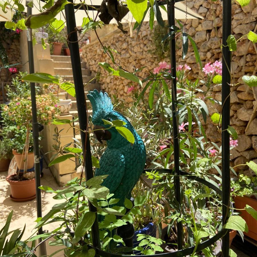 Botanica B&B 沙拉 外观 照片