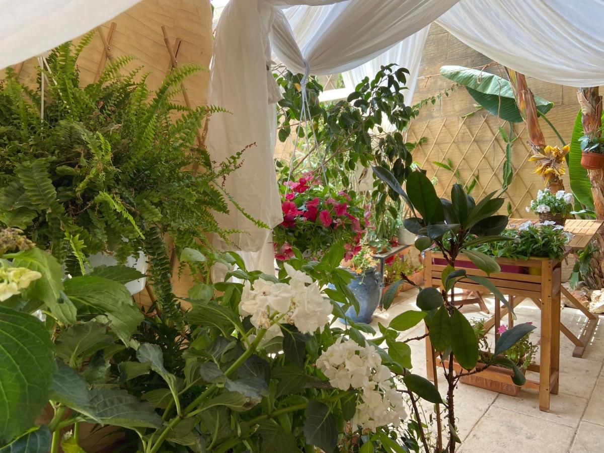 Botanica B&B 沙拉 外观 照片